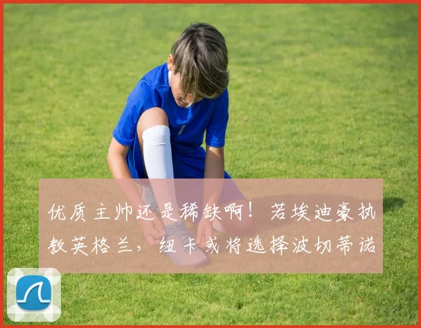 优质主帅还是稀缺啊！若埃迪豪执教英格兰，纽卡或将选择波切蒂诺