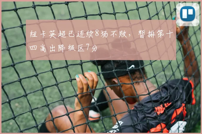 纽卡英超已连续8场不败，暂排第十四高出降级区7分