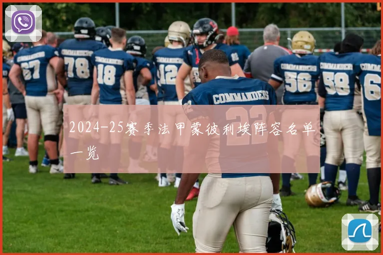 2024-25赛季法甲蒙彼利埃阵容名单一览