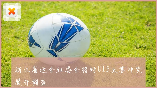 浙江省运会组委会将对U15决赛冲突展开调查