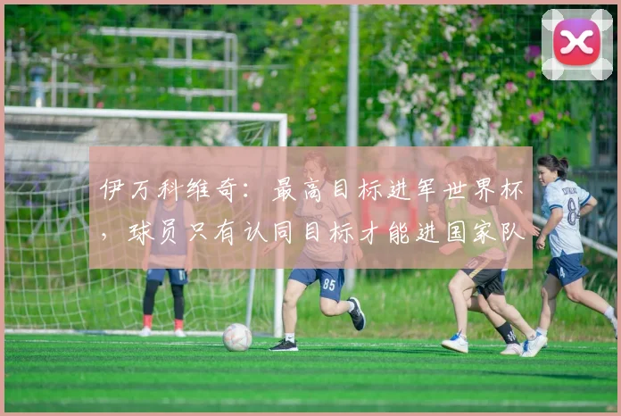 伊万科维奇：最高目标进军世界杯，球员只有认同目标才能进国家队